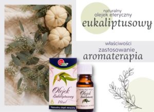 Olejek eukaliptusowy - zastosowanie w pielęgnacji i aromaterapii