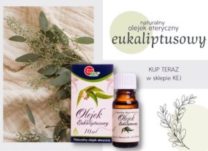 Olejek eukaliptusowy wysokiej jakości kupisz w kej