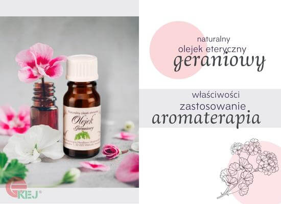 Olejek z geranium ma liczne właściwości aromaterapeutyczne 